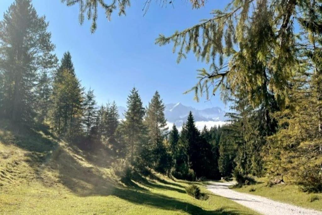 Zentral, Ruhig & Stilvoll Mit Bergpanorama+ Garten 加爾米施-帕滕基興 外观 照片